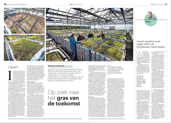 grasland als klimaatbuffer