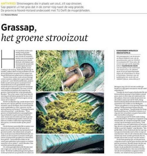 Artikel groen strooizout