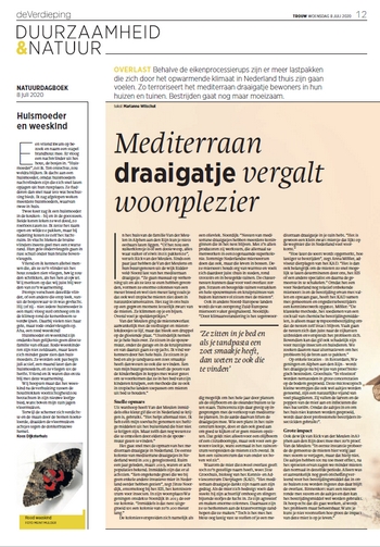 Mediterraan draaigatje1