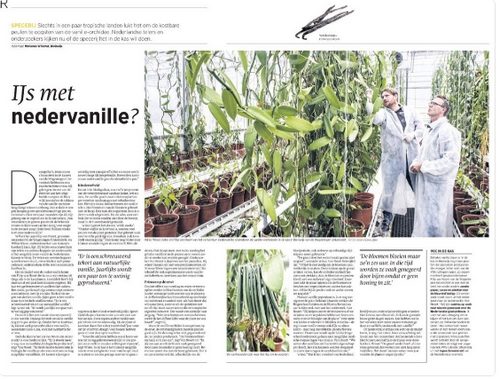 Artikel nedervanille