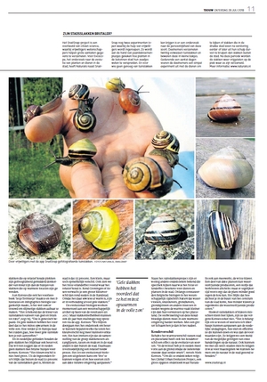 snailsnap2
