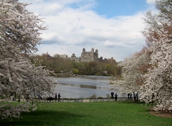 Lente in New York