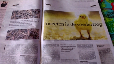 Artikel insecten in de voedertrog