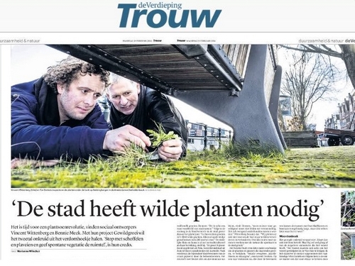 Reportage gewildgroei