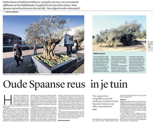 Artikel_olijfbomen