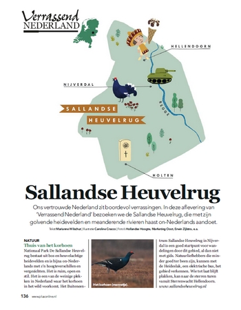 Sallandse Heuvelrug1