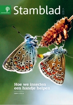 cover stamblad nr 3