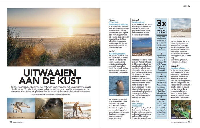 Uitwaaien aan de kust1