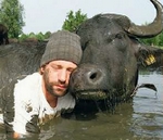 Waterbuffelknuffel