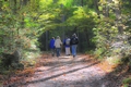 wandelen