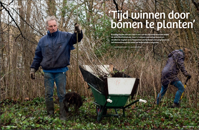 Meerbomen.nu 1