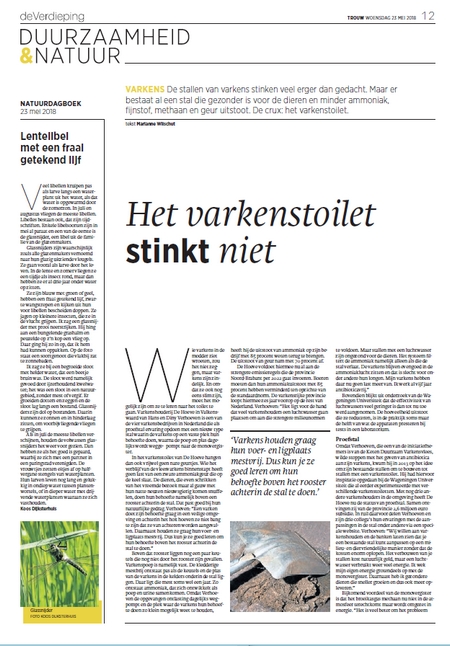 Varkenstoilet1