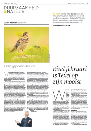 Artikel sneeuwklokjes op Texel1