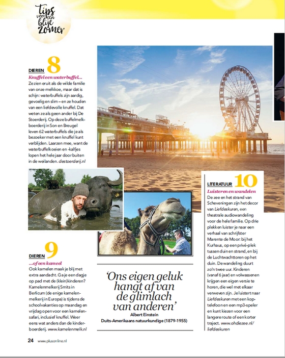 Tips voor een blije zomer uitsnede
