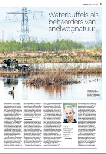 waterbuffel diemerscheg 2